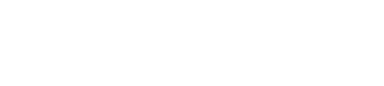 Versingent-DSV